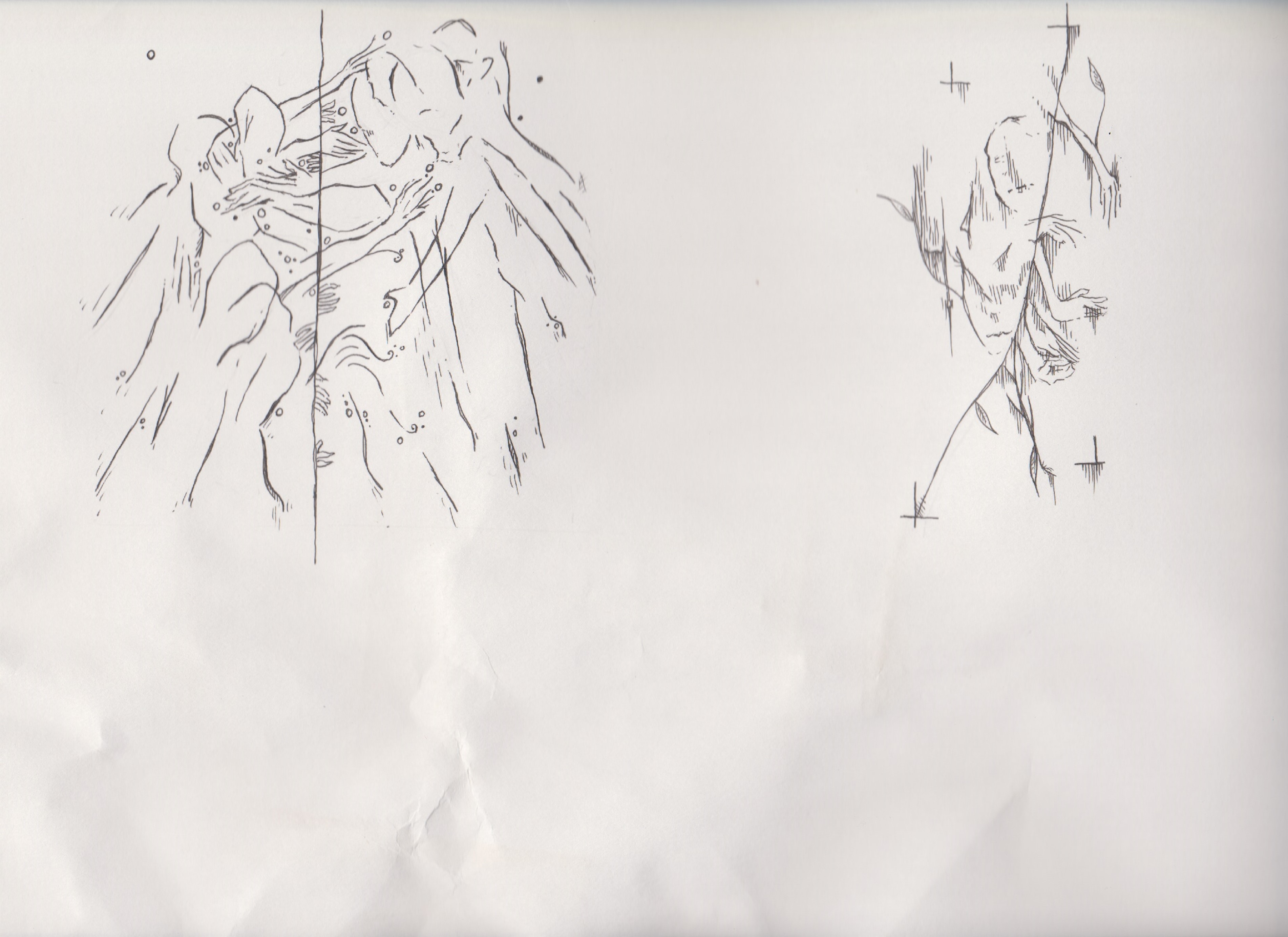 two beautiful illustrations by Francis Hesketh.